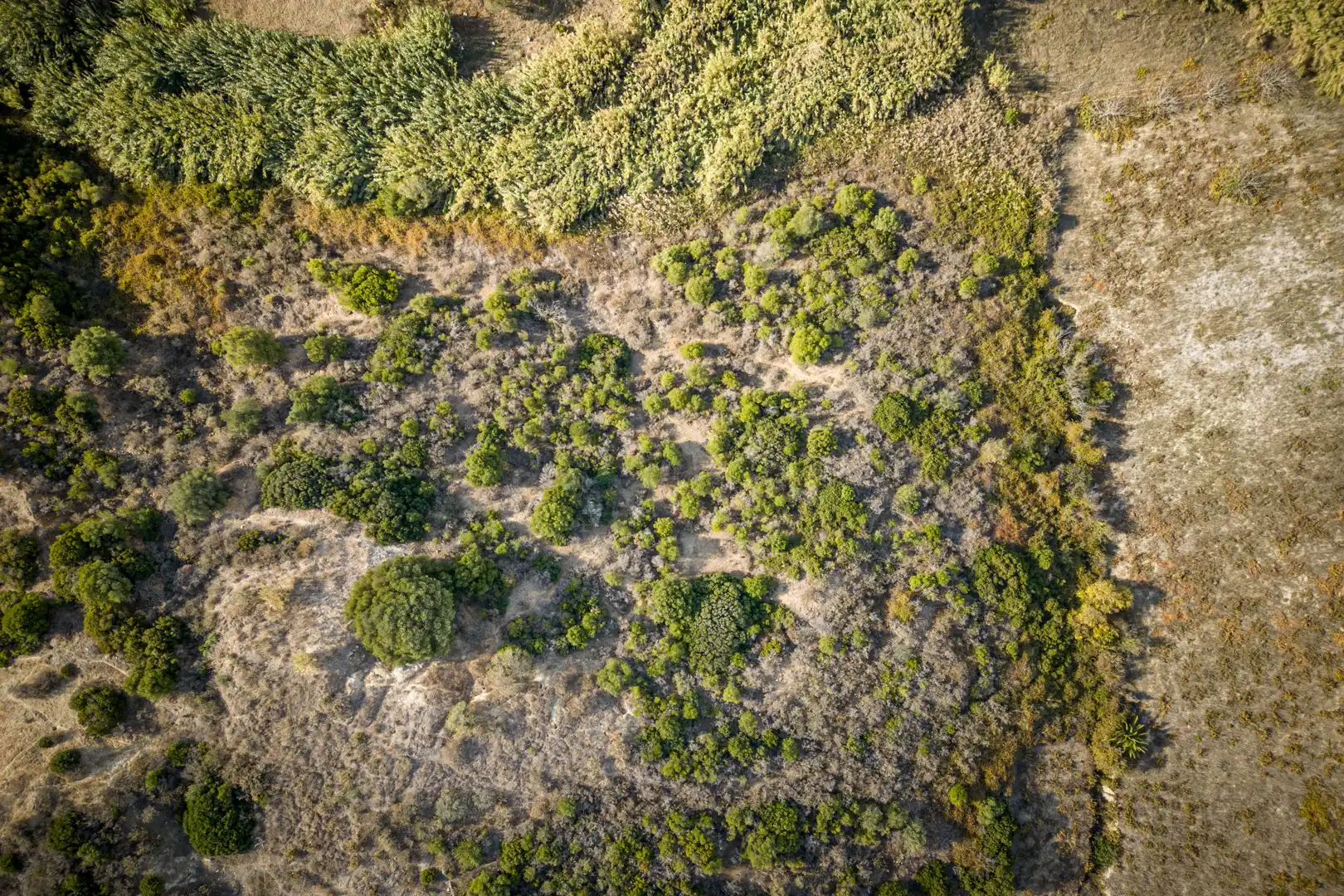 Finca rústica en venda a Manilva Pueblo