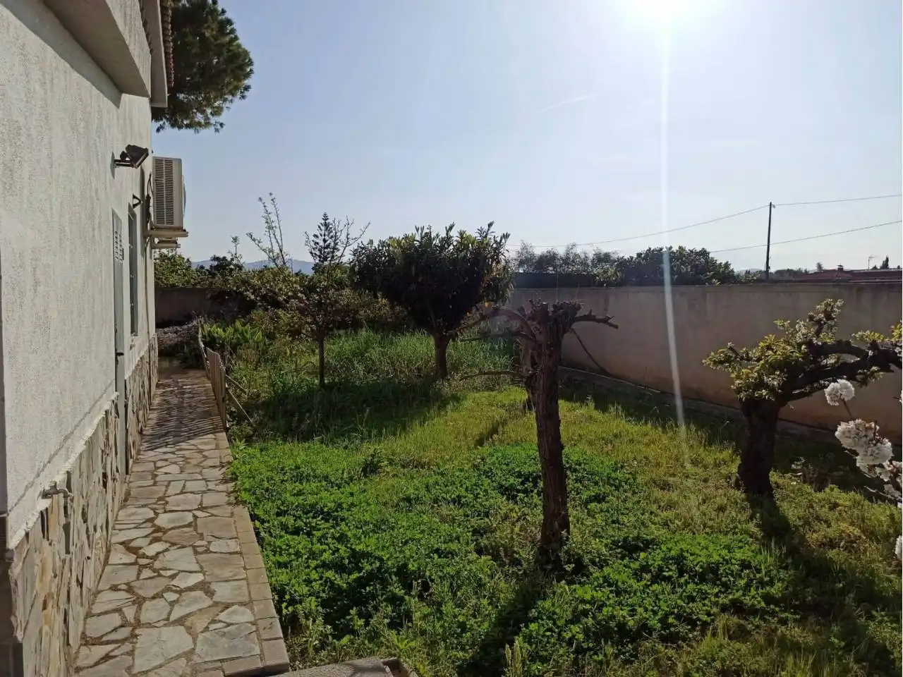 Jardí de Casa o xalet en venda en Benicarló amb Jardí privat i Terrassa
