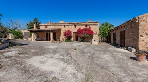 Finca mallorquina con 50 hectáreas de terreno en venta en Sant Llorenc, Mallorca, imatge 2