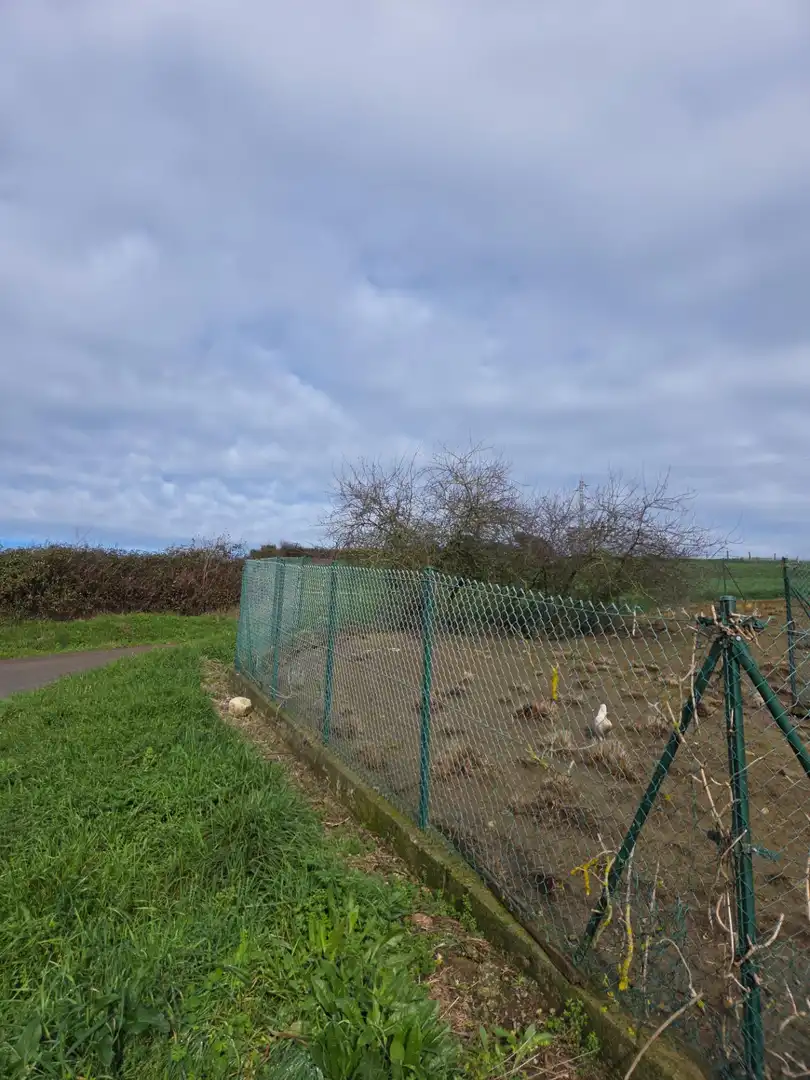 Terreno en venta en Carreño