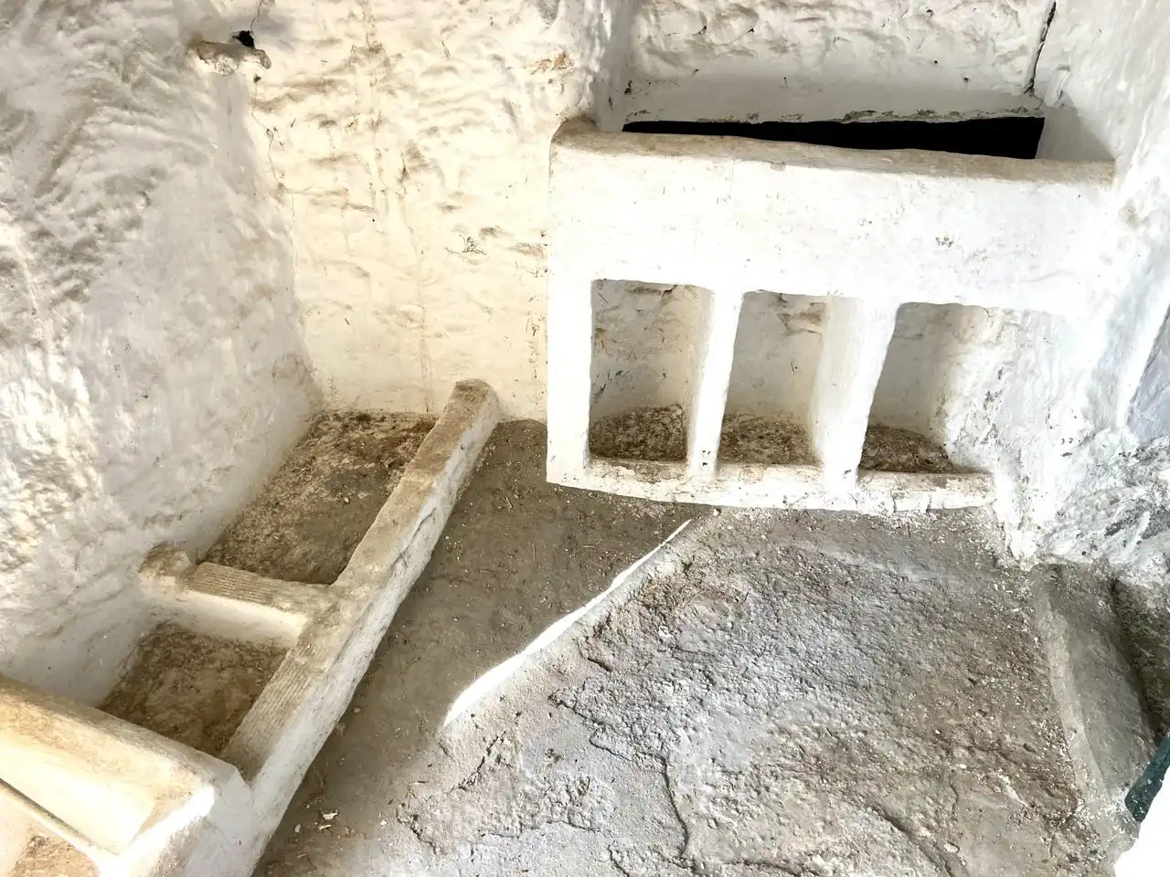 Casa en venta en Diseminado la Parrilla, imagen 29