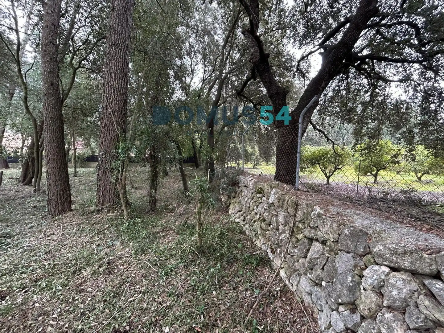 Rural land for sale in Sa Pobla, imagen 11