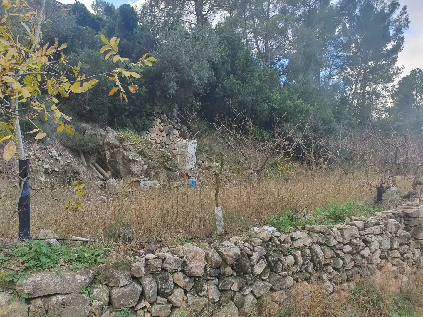 Terreno rústico en venta en Benifallet, imagen 8