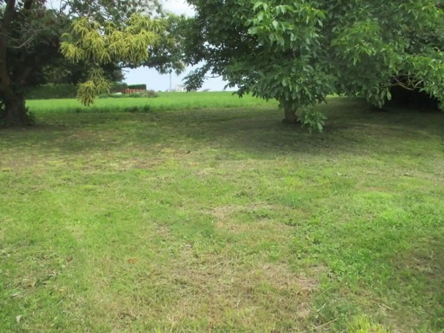 Grundstücke und Bauplätze zum Verkauf in Castropol, imagen 10
