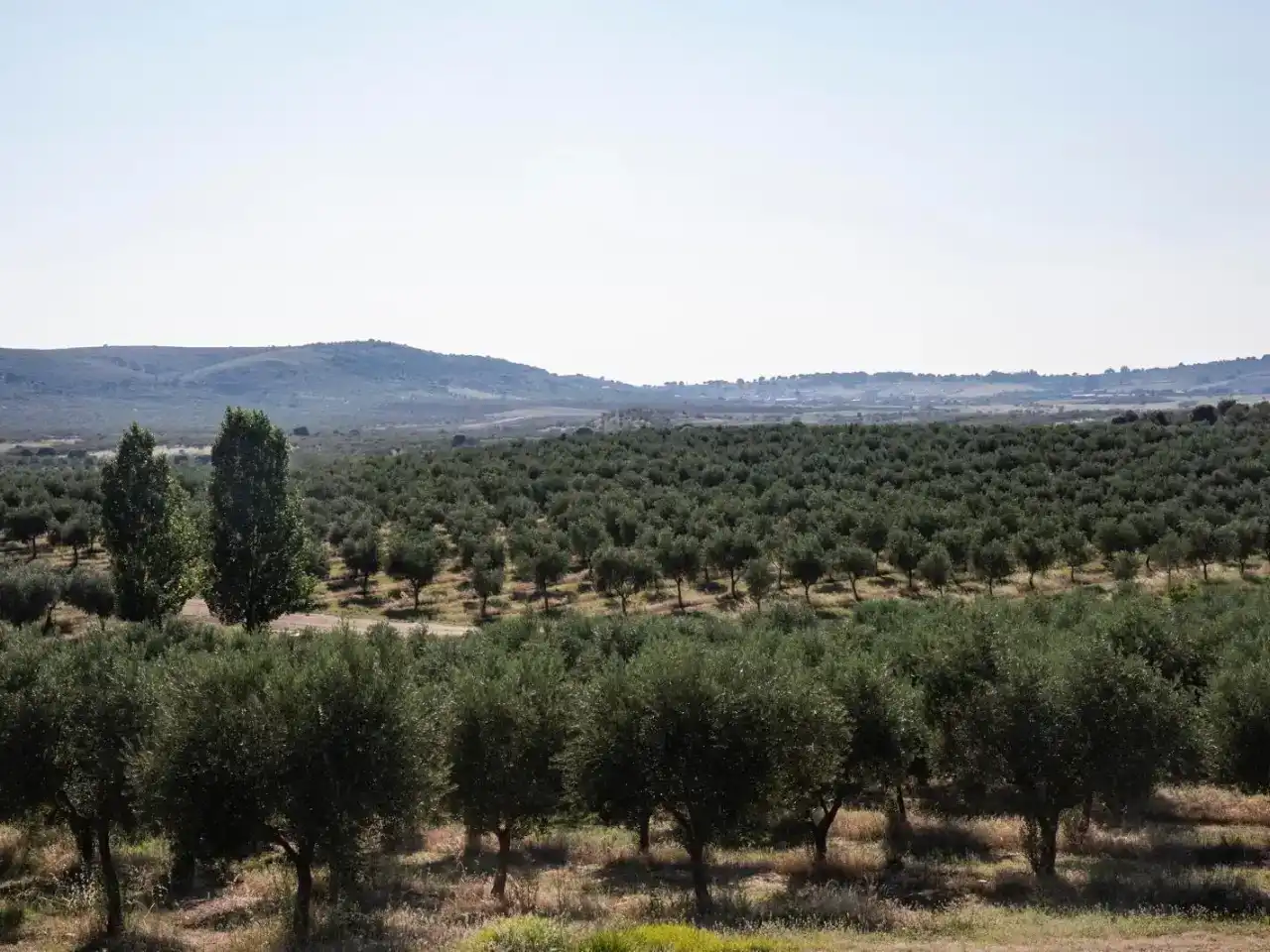 Finca rústica en venda en Garvín amb Aire condicionat, Jardí privat i Piscina