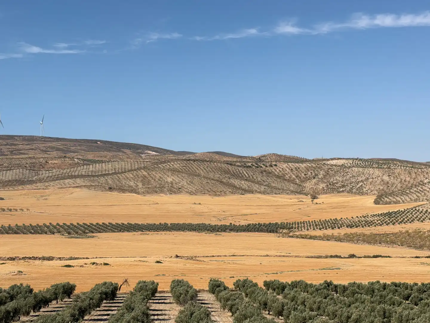 Terreno rustico in vendita a Camino de Alhendín