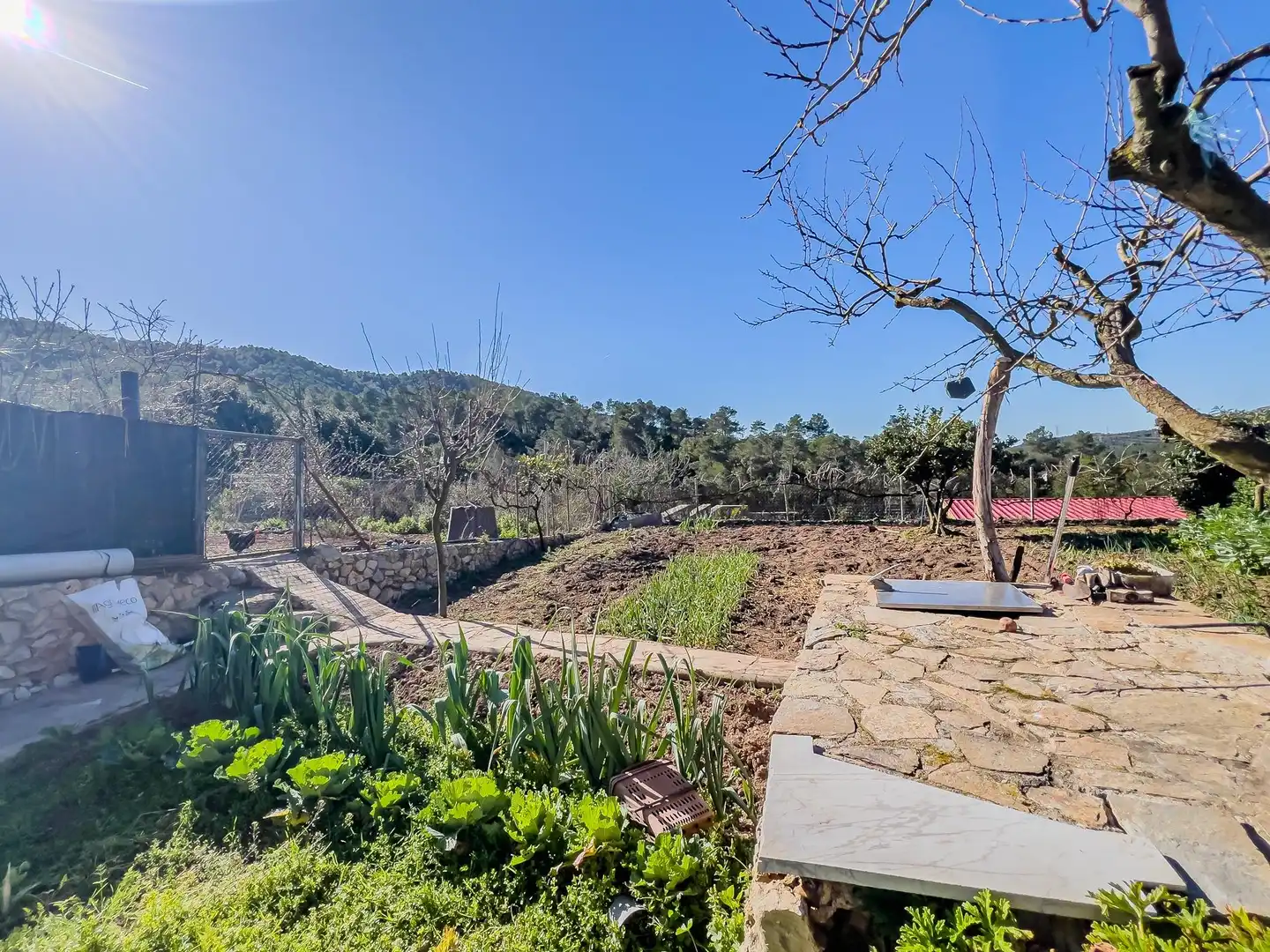 Haus mit Garten zum Verkauf in Carrer del Riu Muga, imagen 42