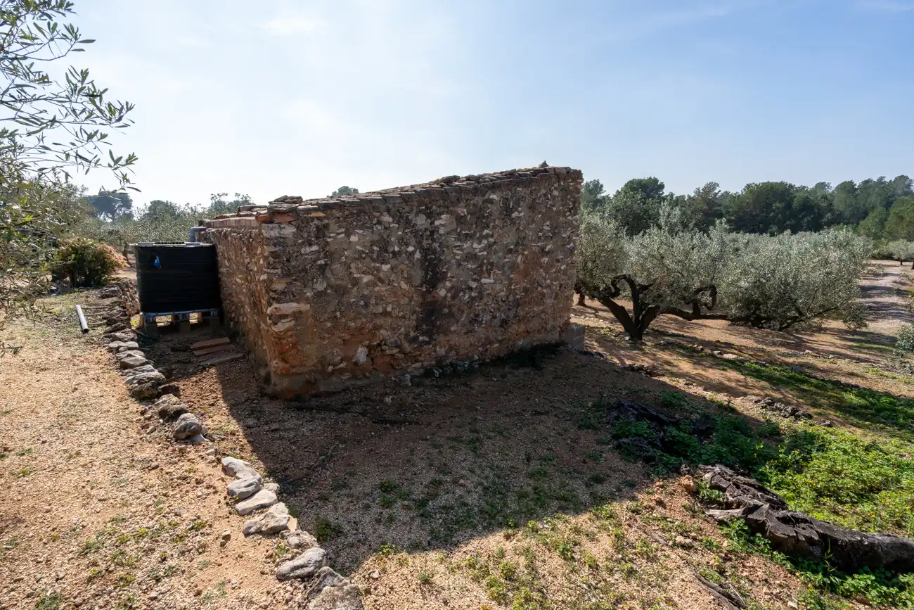 Terrain rustique à vendre à Camí Del Filato 1093, imagen 8