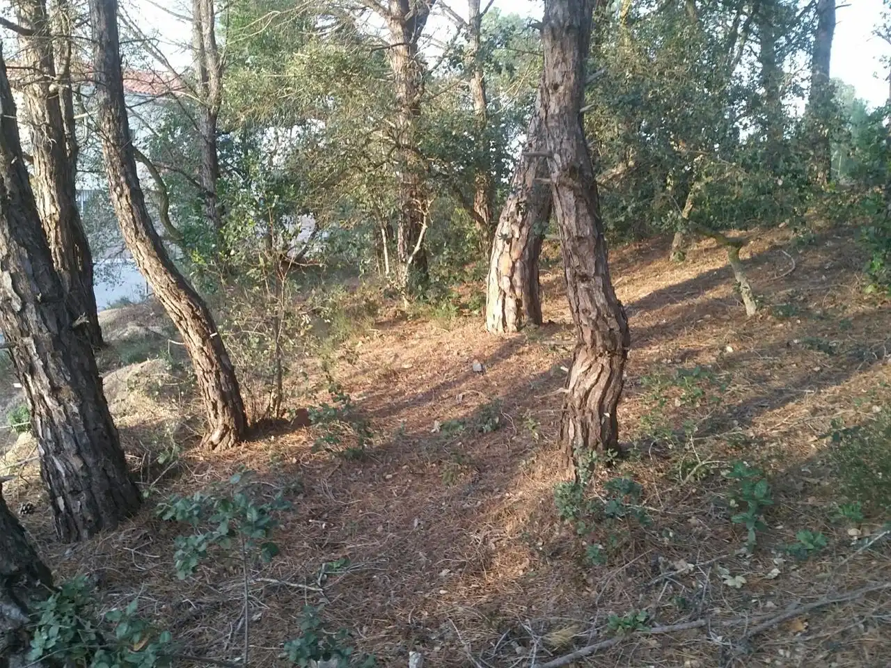 Terrenos y solares en venta en Serra Brava, imagen 2