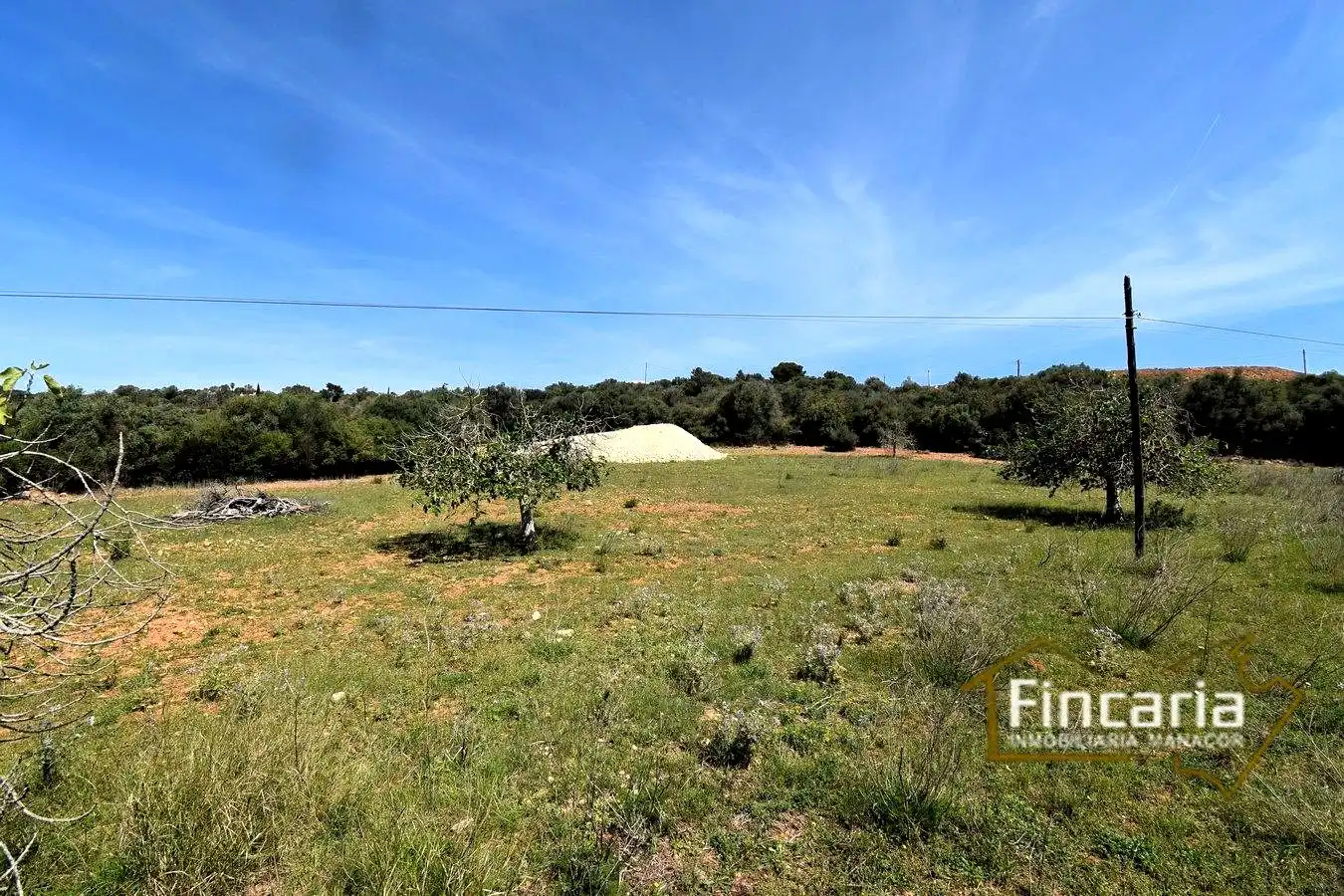 Rural land for sale in De La Torre Nova, imagen 16