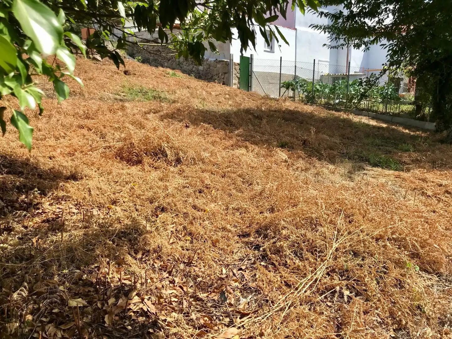 Finca rústica en venda en Noia