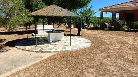 Foto 2 de Finca rústica en venda a Vereda Roja, 24, Hacienda del Álamo Golf, Fuente Álamo de Murcia