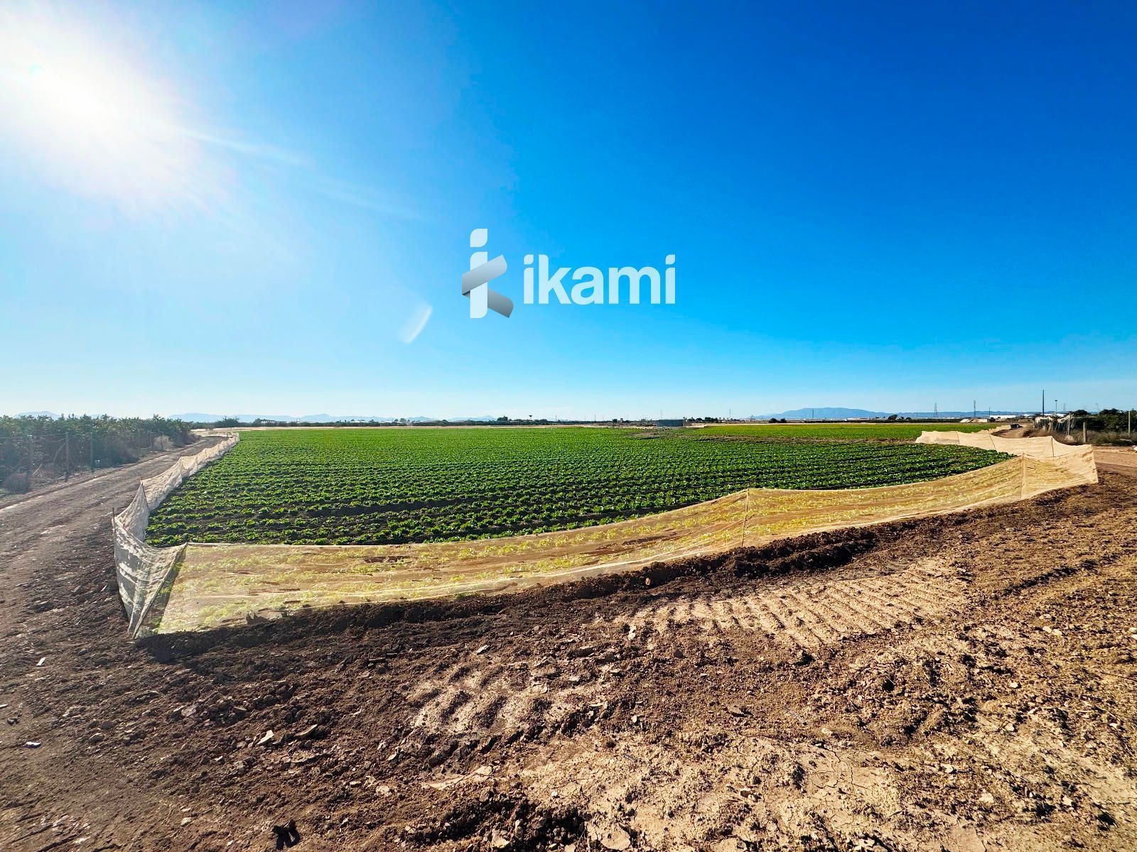 Land for sale in Torre-Pacheco