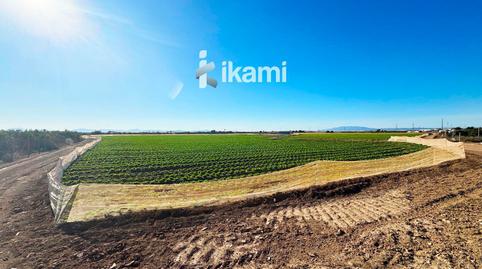 Foto 3 de Terreno en venta en 36, Dolores de Pacheco - Santa Rosalía, Murcia