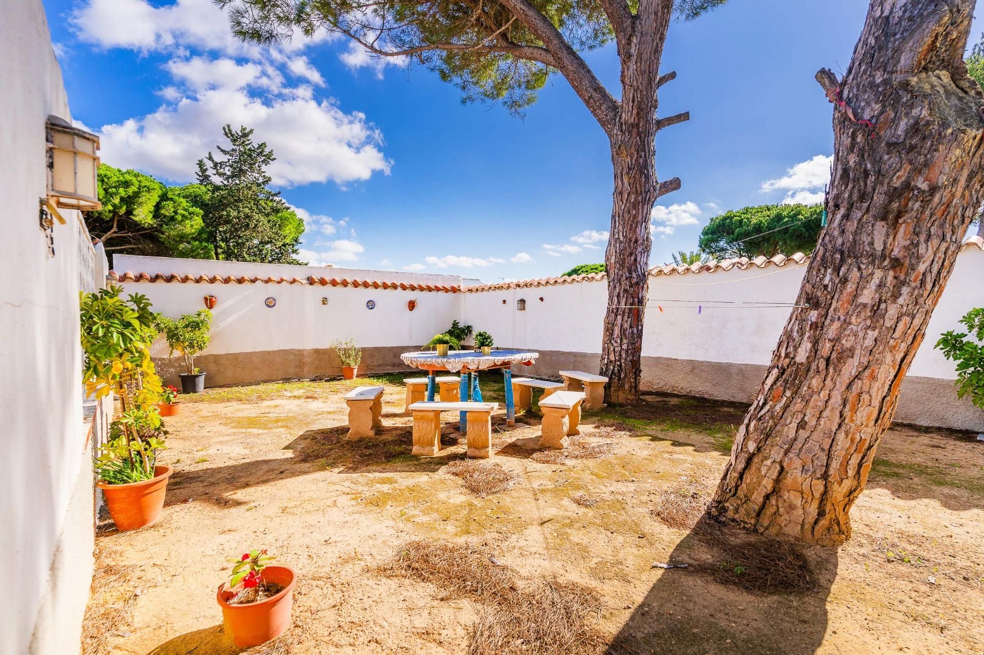 Jardí de Casa o xalet en venda en Chiclana de la Frontera amb Jardí privat