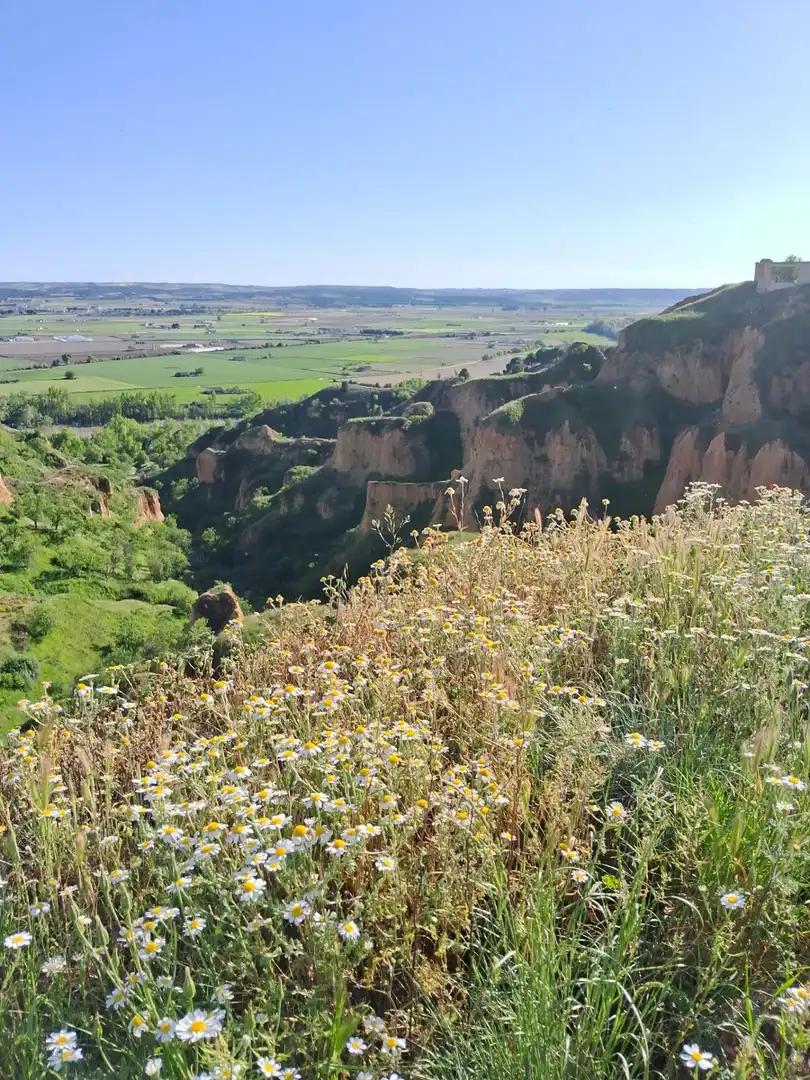 Jardín de Casa o chalet en venta en Toro con Jardín privado