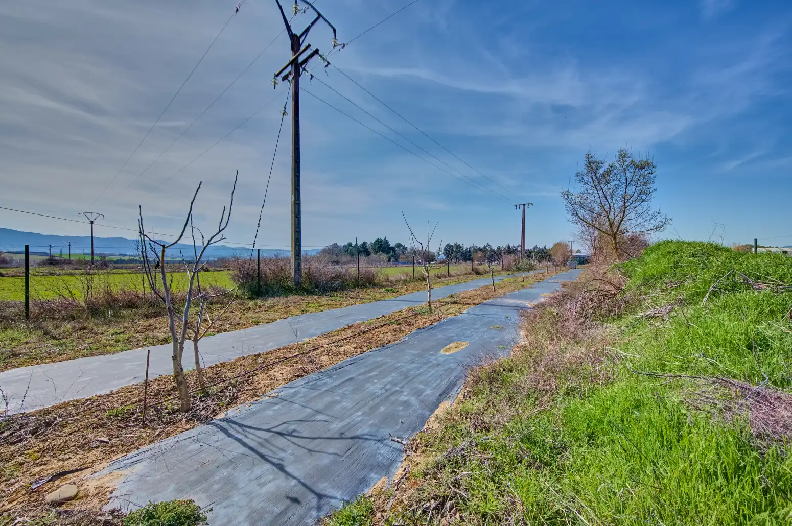 Rural land for sale in Sangüesa / Zangoza, imagen 24