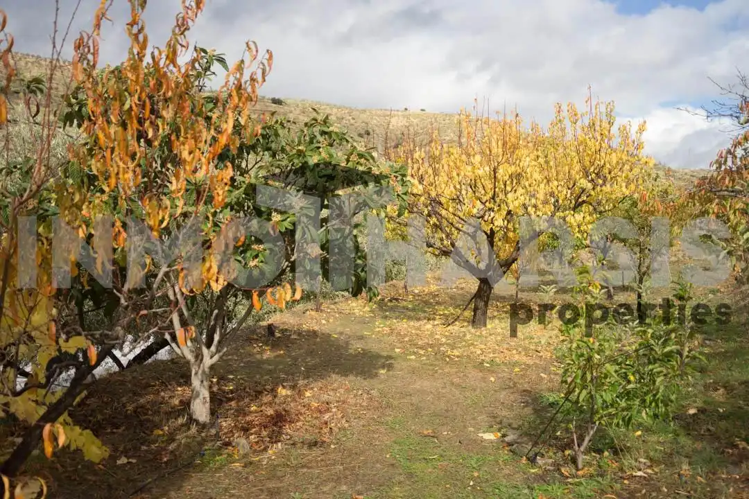 Casa o xalet en venda en Abrucena amb Jardí privat, Terrassa i Moblat