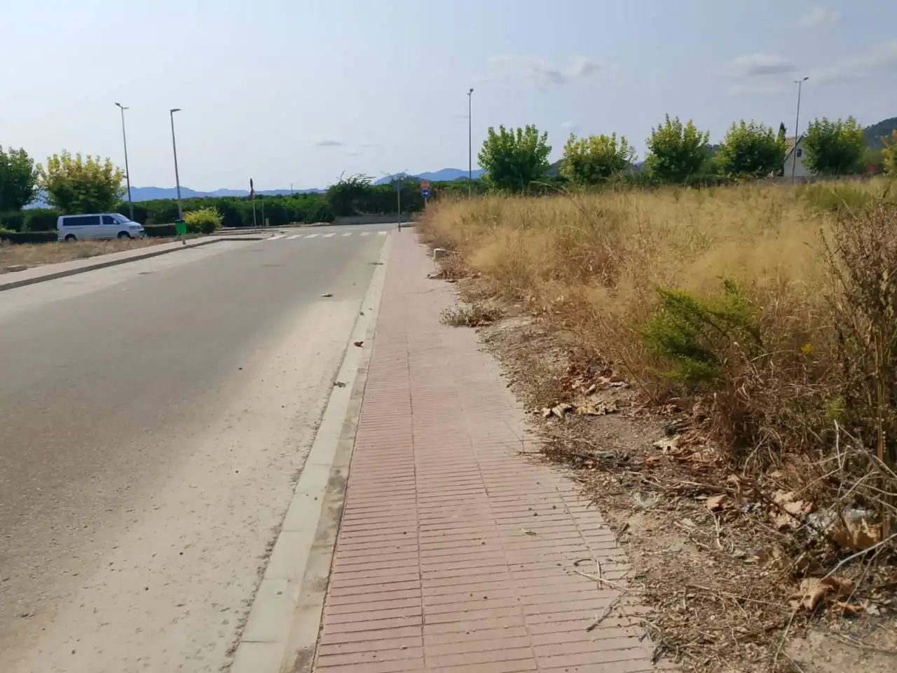 Residential land for sale in Calle Botánico Cabanilles, imagen 6