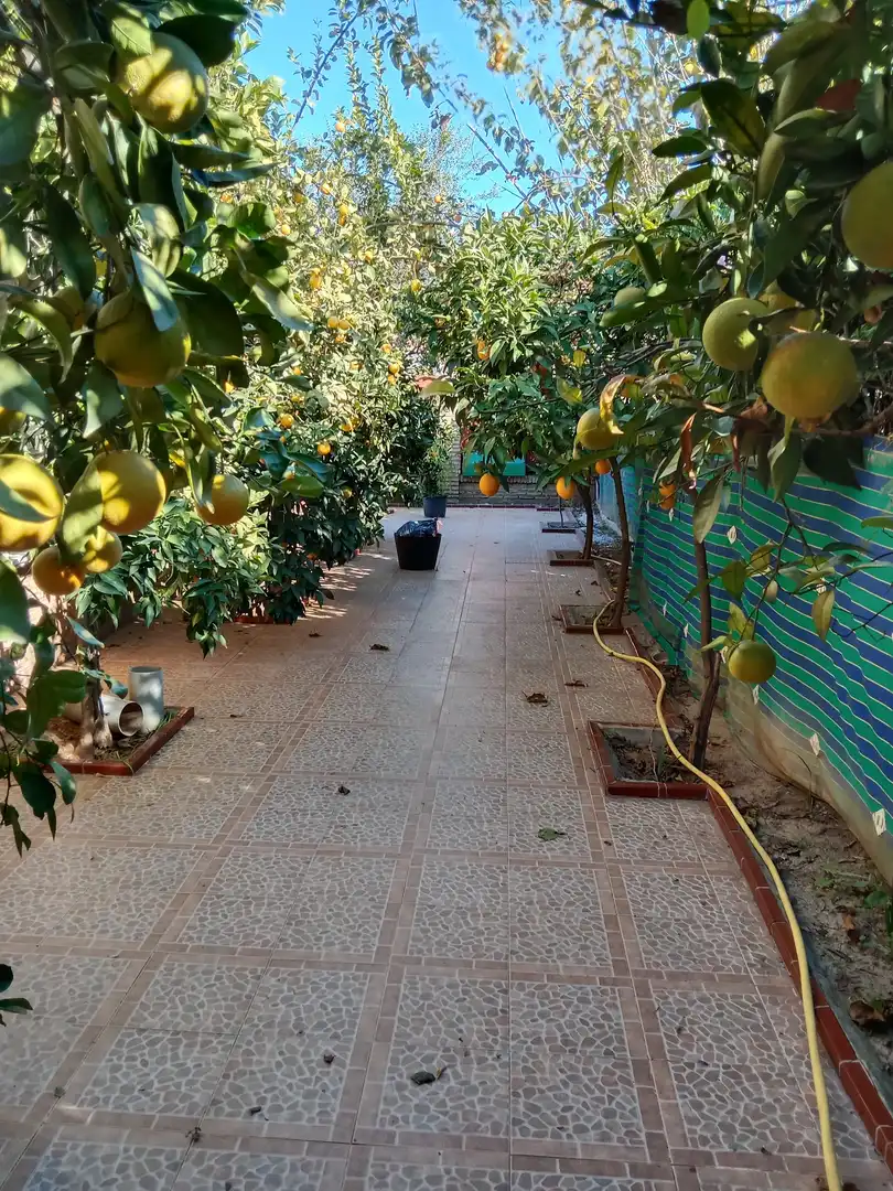 Casa o chalet en venta en La Motilla - Fuente del Rey