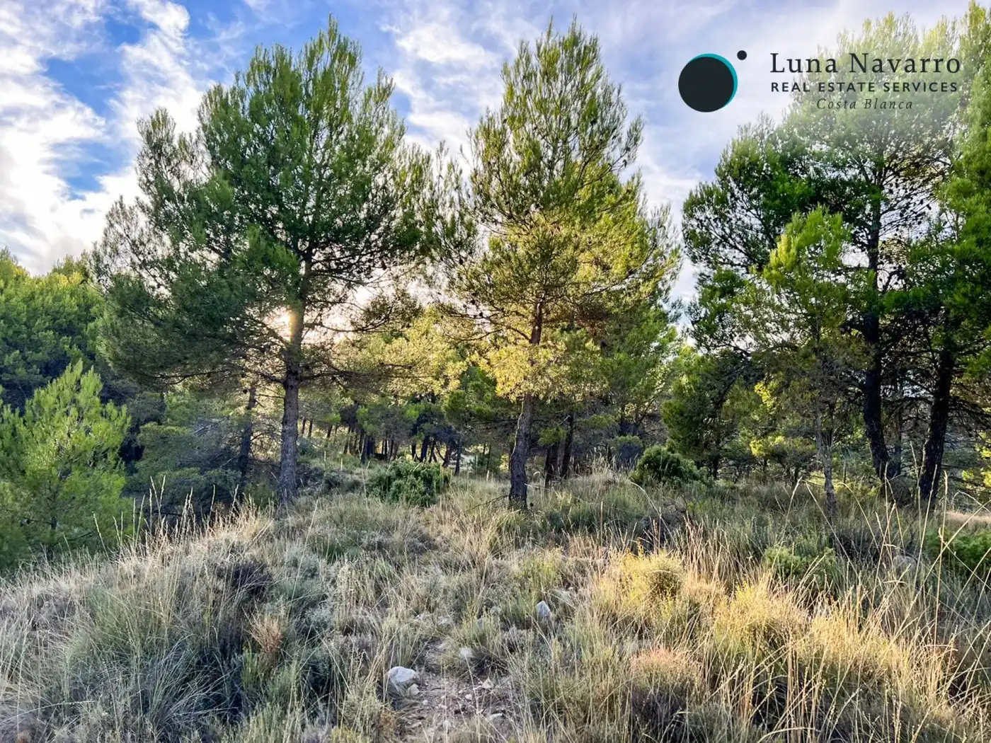 Terreno en venta en Calle San Antonio, 50, Confrides