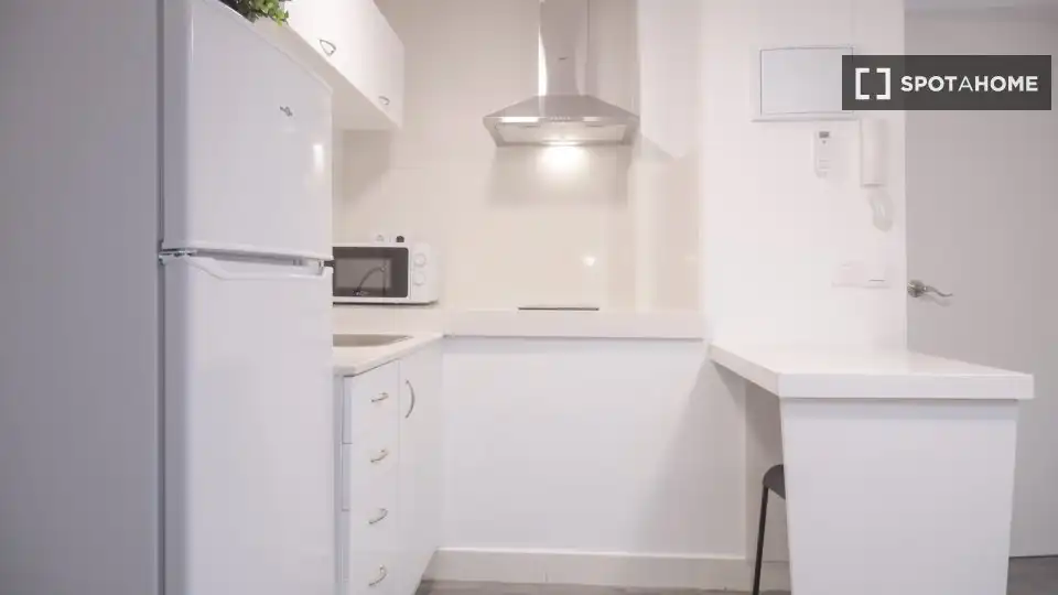 Cocina de Piso de alquiler en Madrid con Aire acondicionado, Calefacción y Amueblado