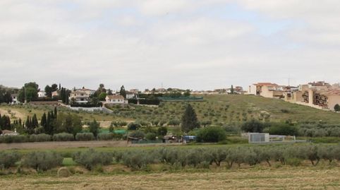 Foto 2 von Grundstücke zum Verkauf in Camino de Los Tejares, Residencial Triana - Barrio Alto, Las Gabias