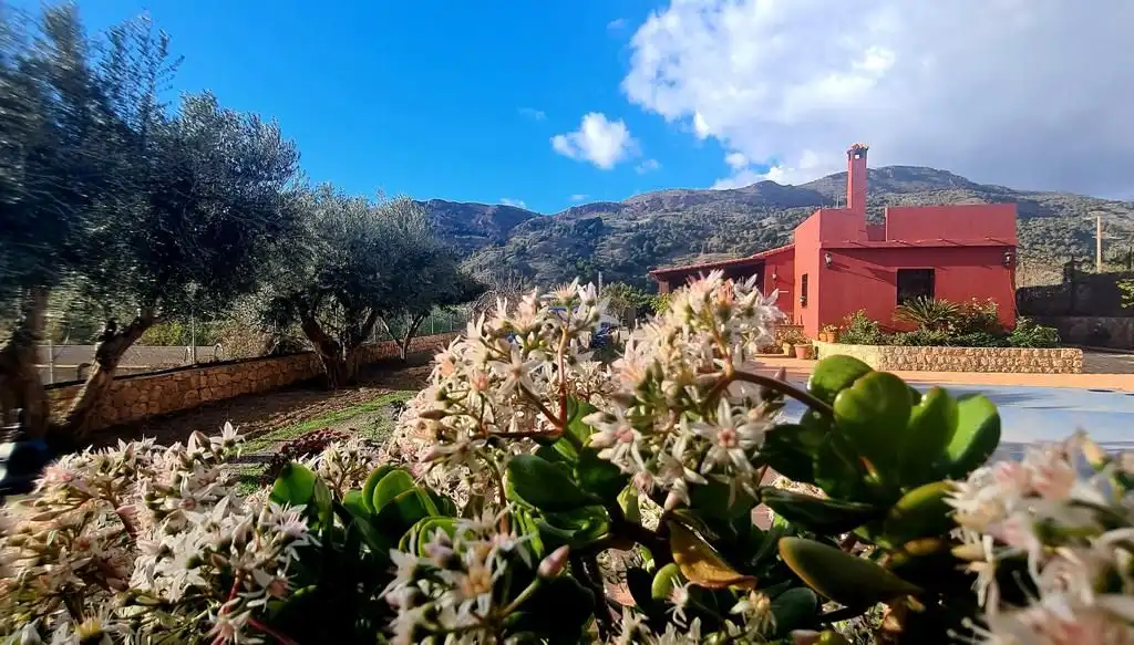 Jardín de Casa o chalet de alquiler en Vélez de Benaudalla con Jardín privado, Terraza y Piscina