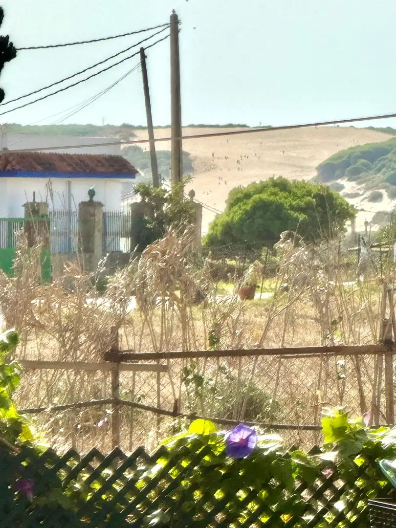 Villa con giardino in vendita a El Lentiscal 37, imagen 6