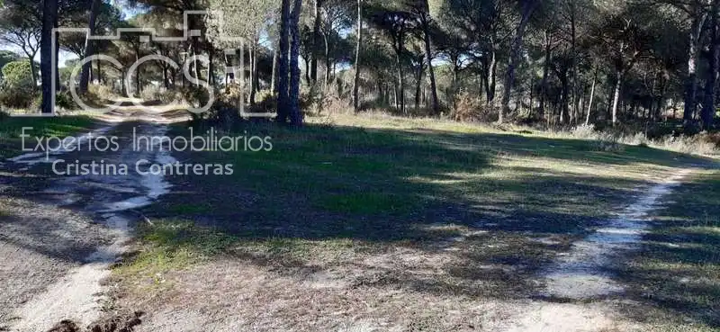 Casa rústica en venda a Almonte ciudad, imagen 7