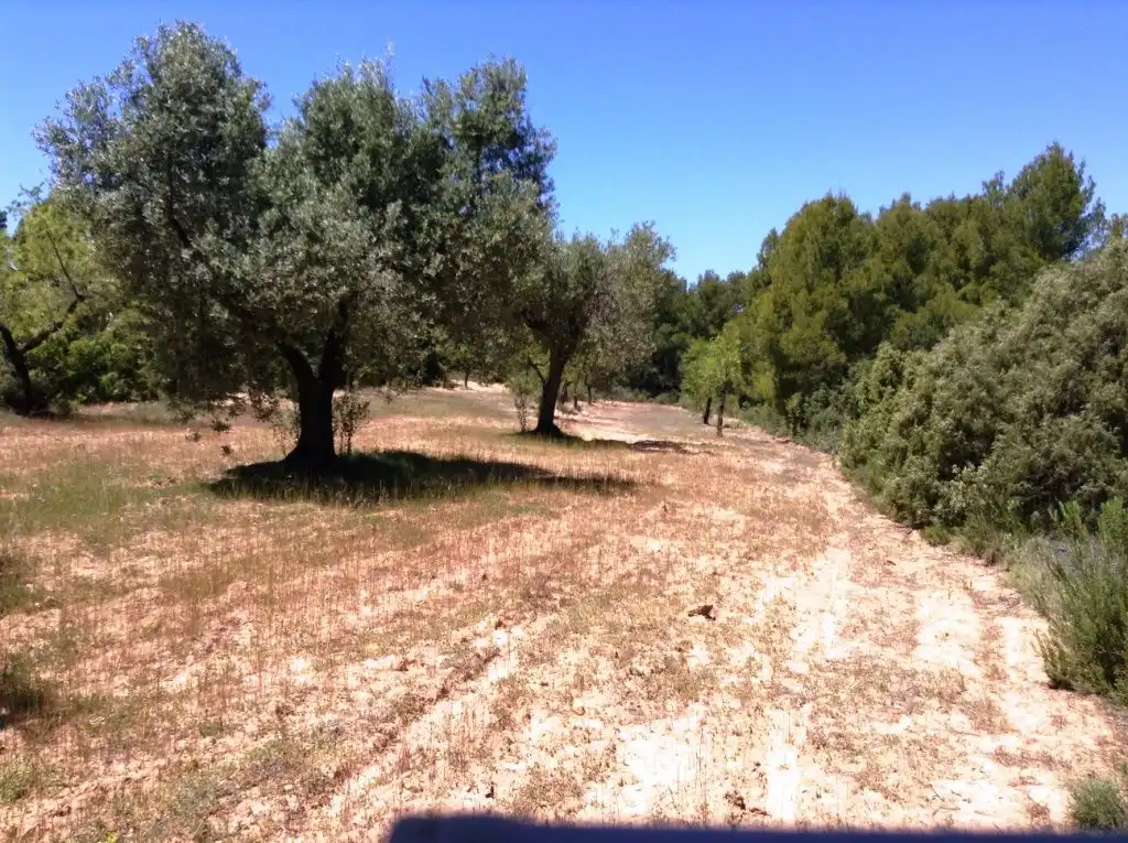 Terreni e lotti in vendita a Arens de Lledó, imagen 10