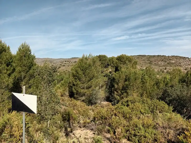 Residential zum Verkauf in LES ALQUERIES 7 PARTIDA.NUMERO 6 Polígono 6 Parcel, Santa Ana