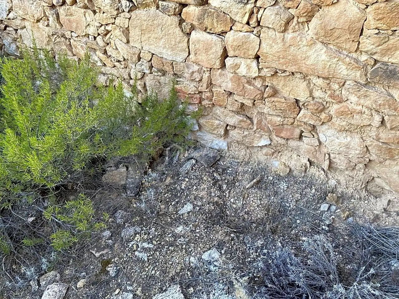 Terrain rustique à vendre à Partida Castellons, imagen 15