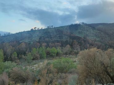 Terrain rustique à vendre à Xerta