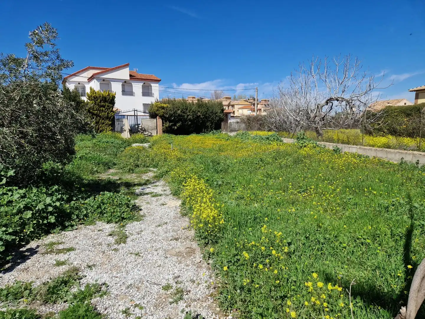 Lands and plots for sale in Calle VISTA NEVADA, imagen 15