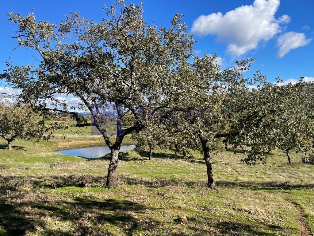 Casa o chalet en venta en Trujillo