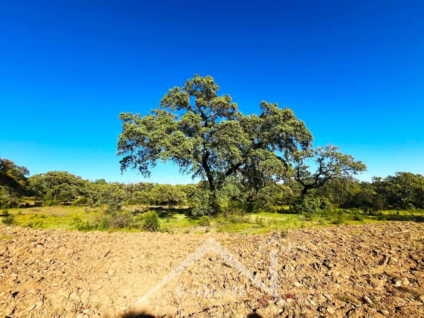 Terreni e lotti in vendita a Castilblanco de los Arroyos, imagen 25