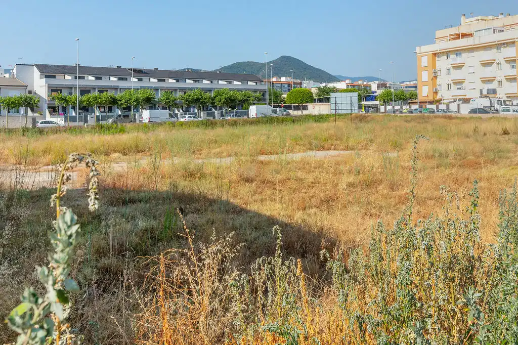 Rural land for sale in C/ Alquerías, imagen 23