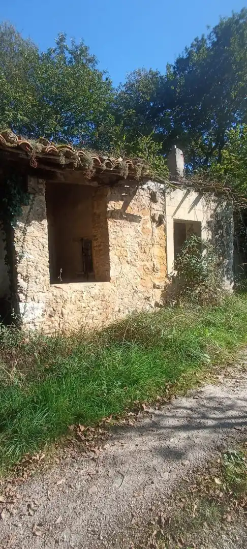 Vista exterior de Finca rústica en venta en Nava