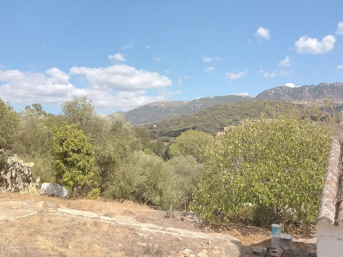 Terrain rustique à vendre à Cortes de la Frontera, imagen 23