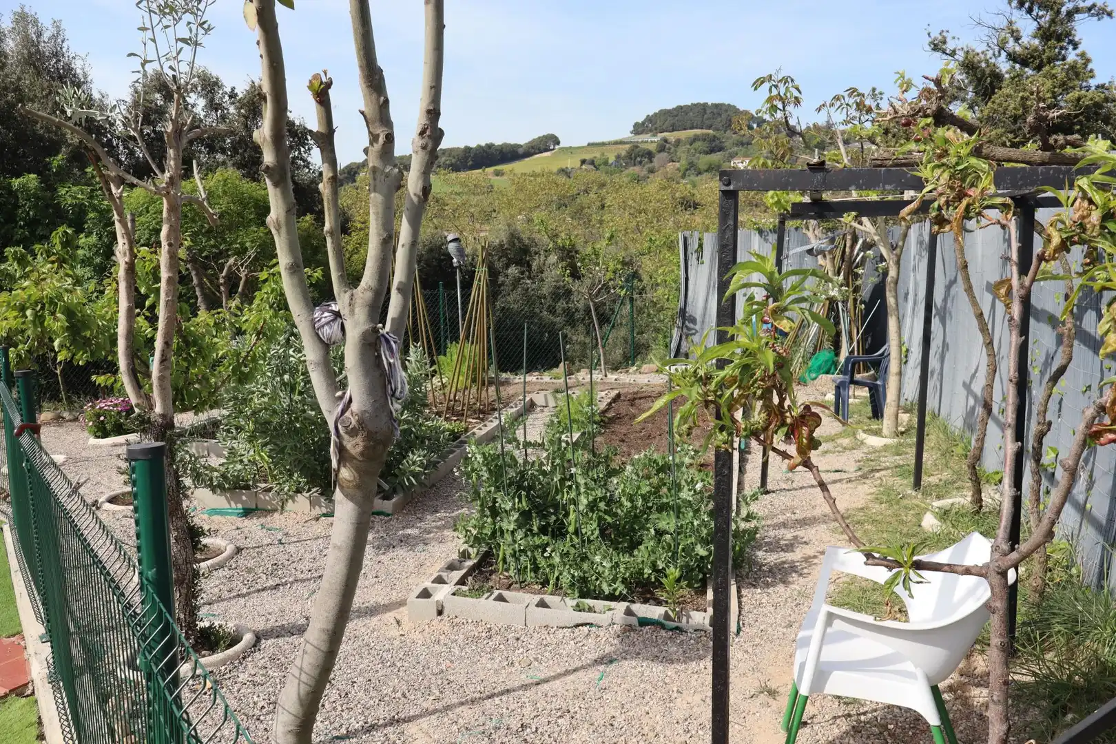 Jardí de Casa o xalet en venda en Cànoves I Samalús amb Calefacció