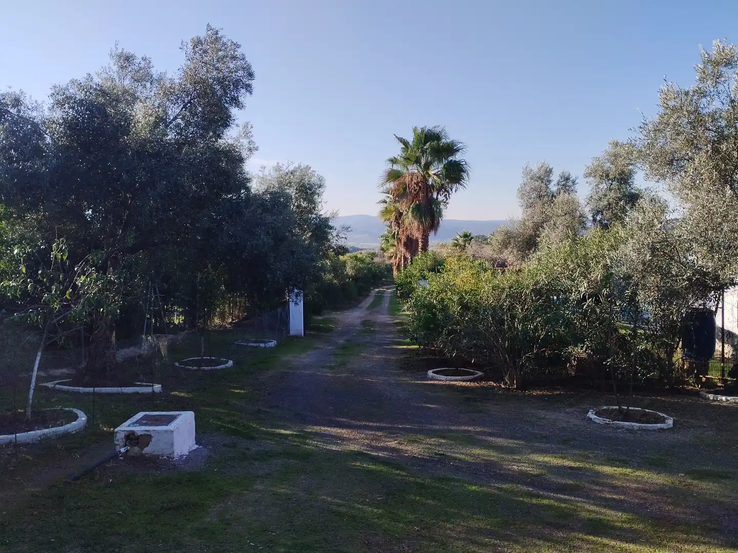 Casa rústica amb jardí en venda a Jerez de los Caballeros, imagen 2