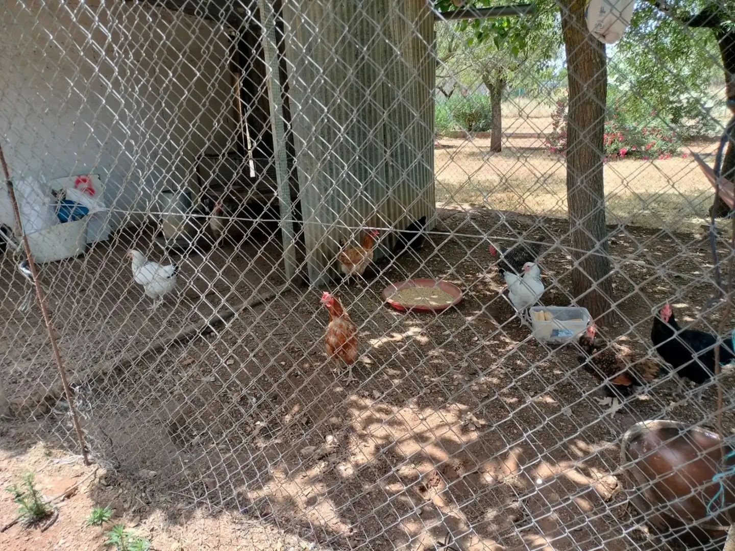 Casa o xalet en venda a PAU 2-600