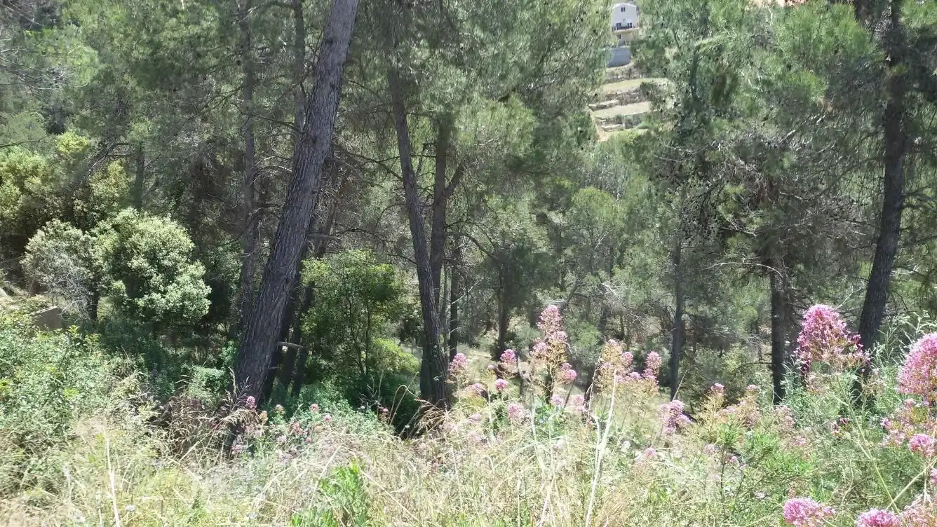 Terreno residencial en venta en Airesol, imagen 4
