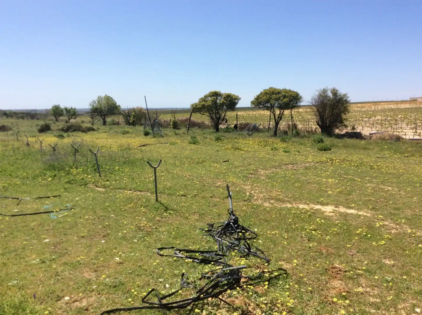 Land for sale in Almonte