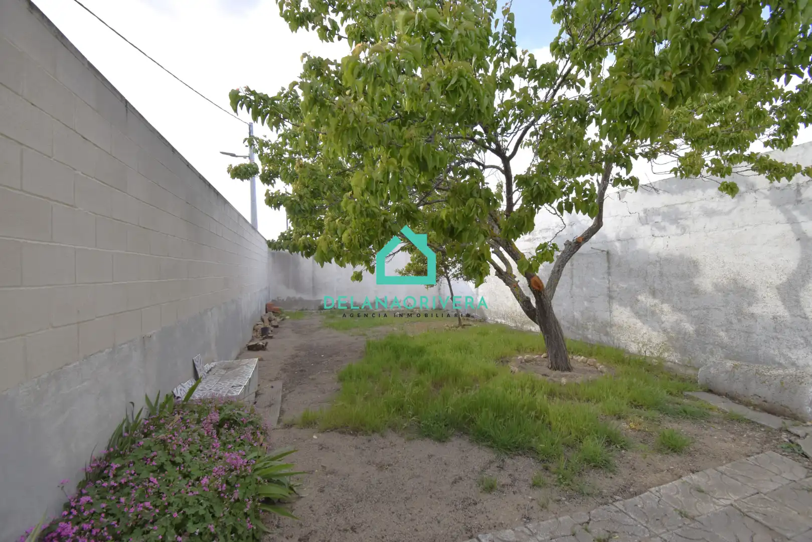 Casa o chalet en venta en Zarza de Tajo