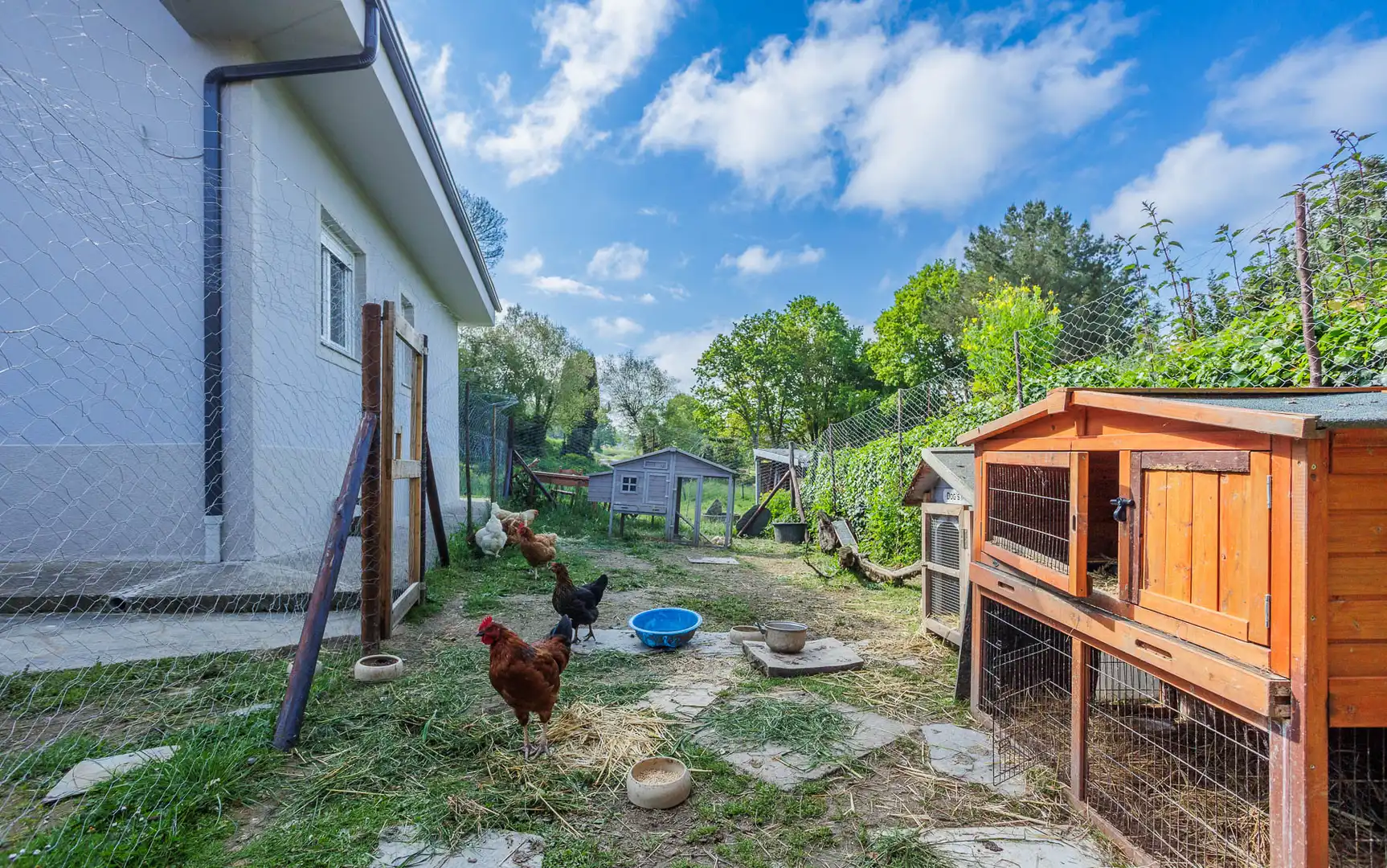 Jardín de Casa o chalet en venta en Pol con Amueblado