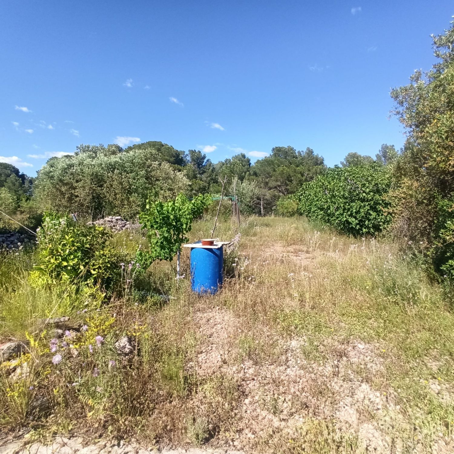 Country house for sale in Mont-roig del Camp