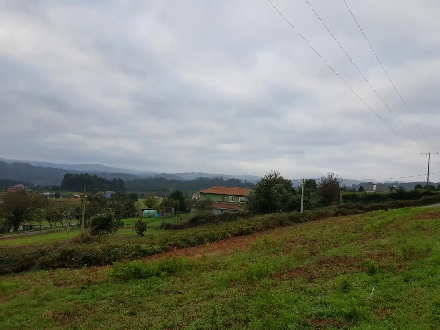 Terreni e lotti in vendita a Abegondo, imagen 4