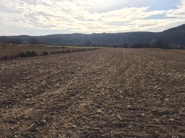Terrain rustique à vendre à Colmenar de Oreja